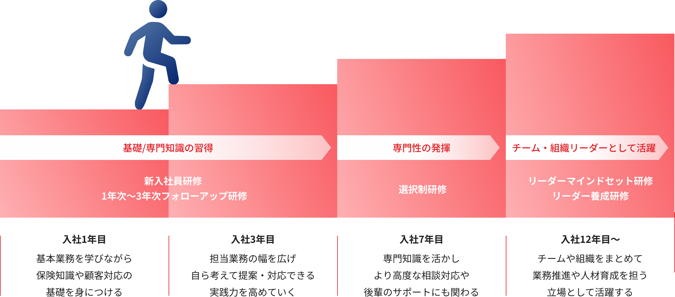 基礎/専門知識の習得 新入社員研修 1年次~3年次フォローアップ研修 入社1年目 基本業務を学びながら保険知識や顧客対応の基礎を身につける 入社3年目 担当業務の幅を広げ自ら考えて提案・対応できる実践力を高めていく 専門性の発揮 選択制研修 入社7年目 専門知識を活かしより高度な相談対応や後輩のサポートにも関わる チーム・組織リーダーとして活躍 リーダーマインドセット研修 リーダー養成研修 入社12年目~ チームや組織をまとめて業務推進や人材育成を担う立場として活躍する
